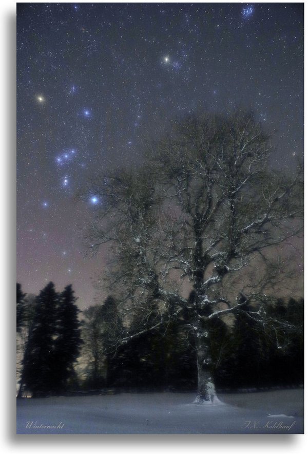 Winternacht - Leinwandbild