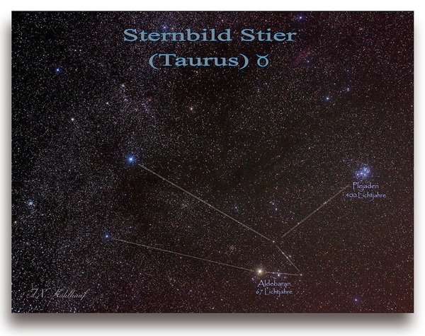 Sternbild Stier - Leinwandbild, 30x40 cm