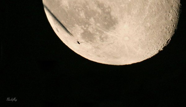 Nachtflug - Leinenbild 70x70 cm