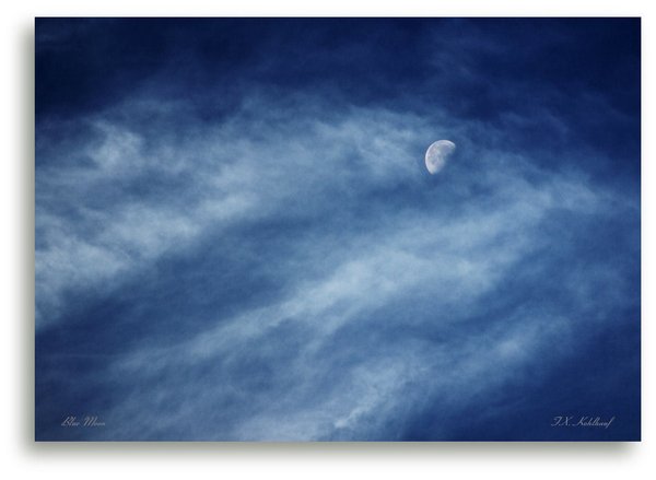 Blue Moon - Leinwandbild, 70x100 cm