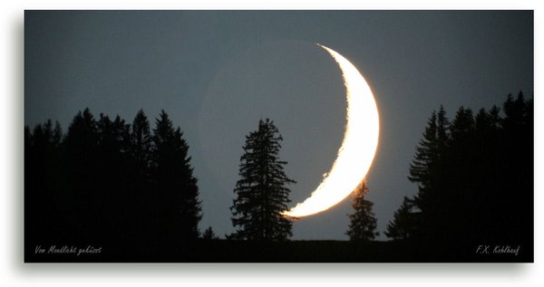 Vom Mondlicht geküsst - Leinwandbild, 50x100 cm