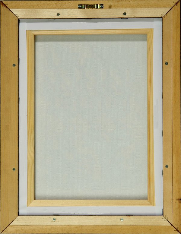Natur in Raum und Zeit - Leinwandbild mit Rahmen, 43x63 cm