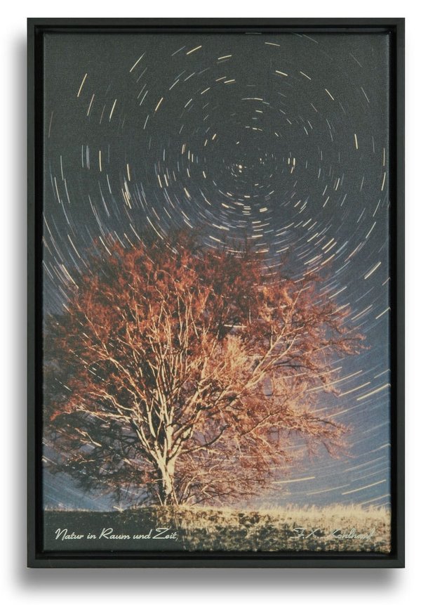 Natur in Raum und Zeit - Leinwandbild mit Rahmen, 43x63 cm